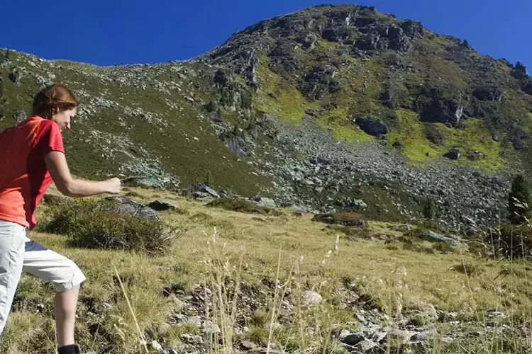 Der Hochgebirgs- Naturpark Zillertaler Alpen