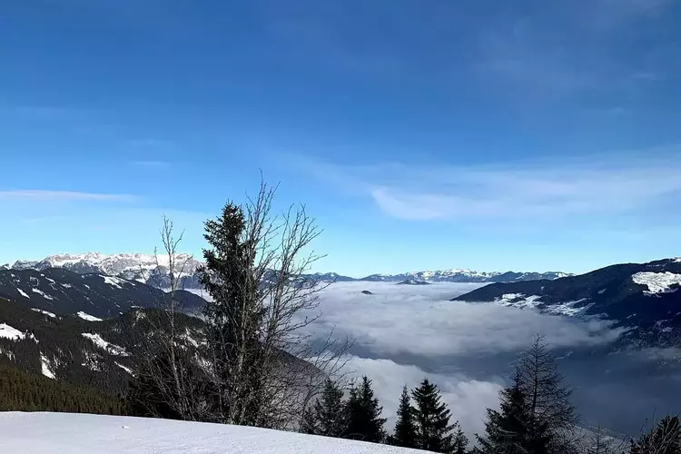 Kräutertees: Die wärmenden Begleiter für Winterwanderungen!