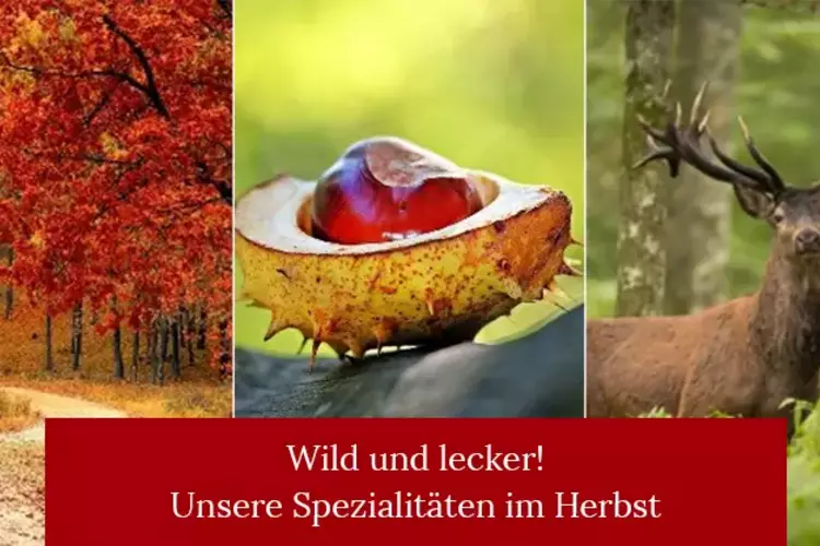 Wild und lecker