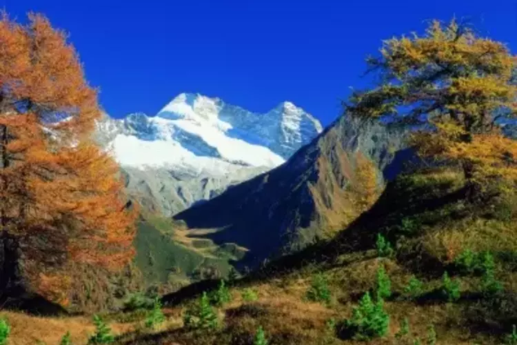 Zillertal trifft Südtirol