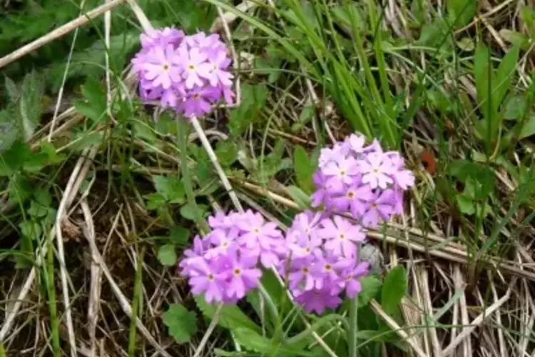 UNENDLICHER SPASS FÜR JUNG UND ALT: DAS MURMELLAND